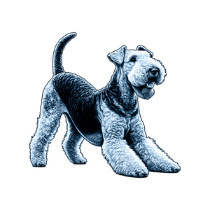 Airedale Terrier