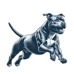 American Staffordshire Terrier