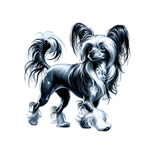 Chinese Crested