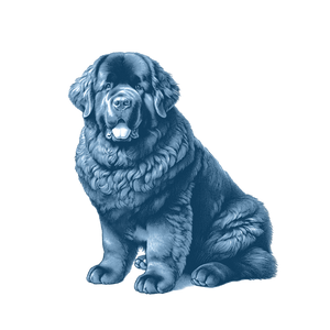 Newfoundland