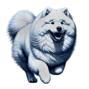 Samoyed