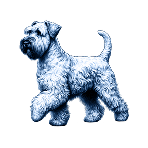 Wheaten Terrier