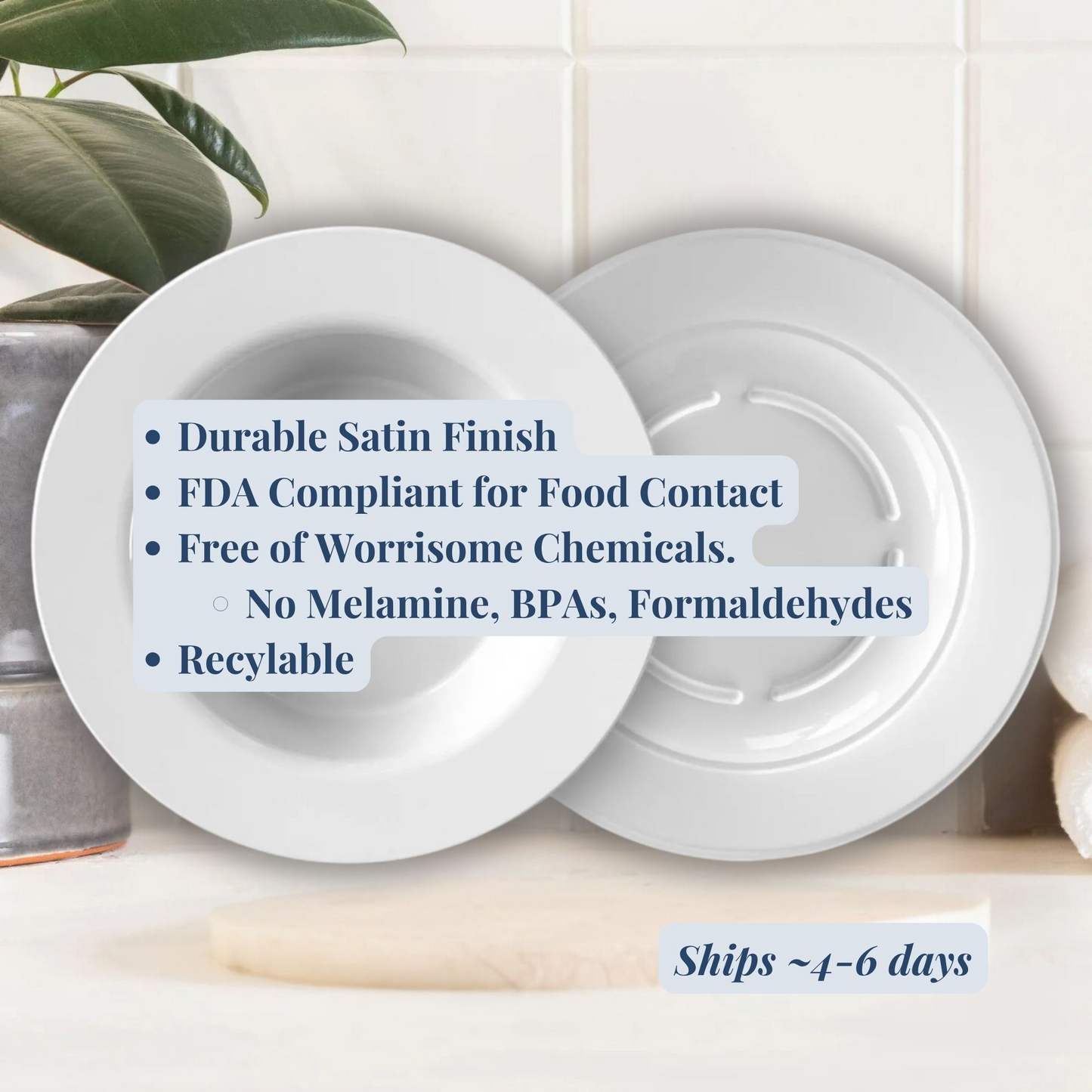 Saluki - Personalized Plate