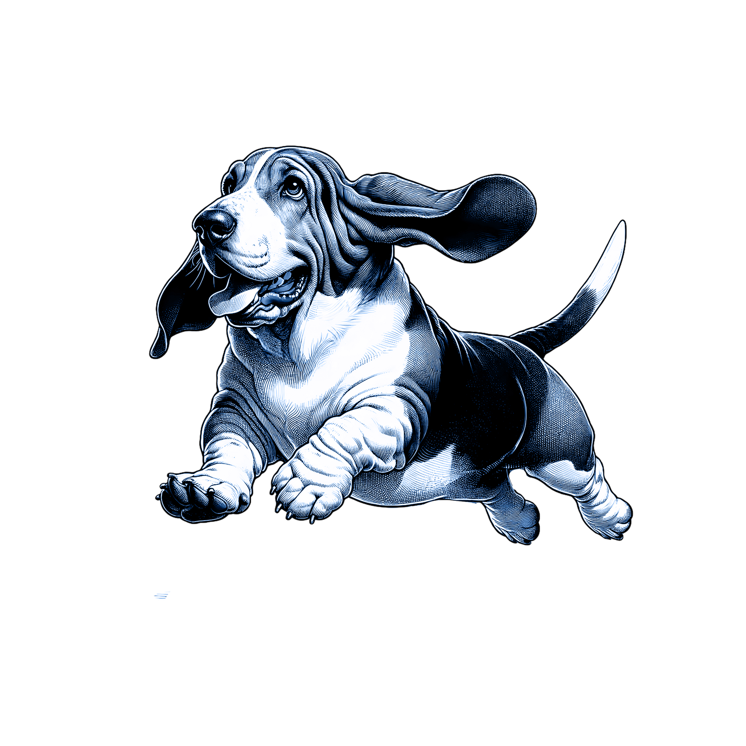 Basset Hound