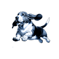 Basset Hound toile
