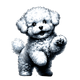 Bichon Frise toile
