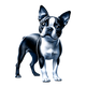 Boston Terrier toile