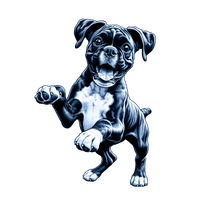 Boxer toile