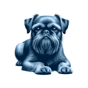 Brussels Griffon