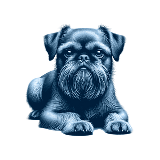 Brussels Griffon