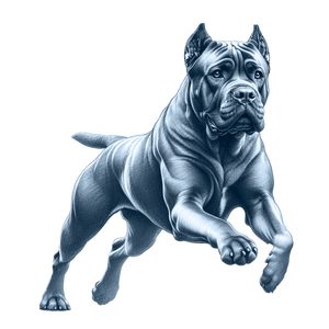 Cane Corso