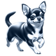 Chihuahua toile
