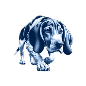 Coonhound