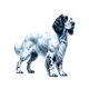 English Setter toile