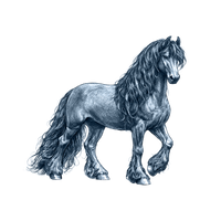 Friesian Horse toile