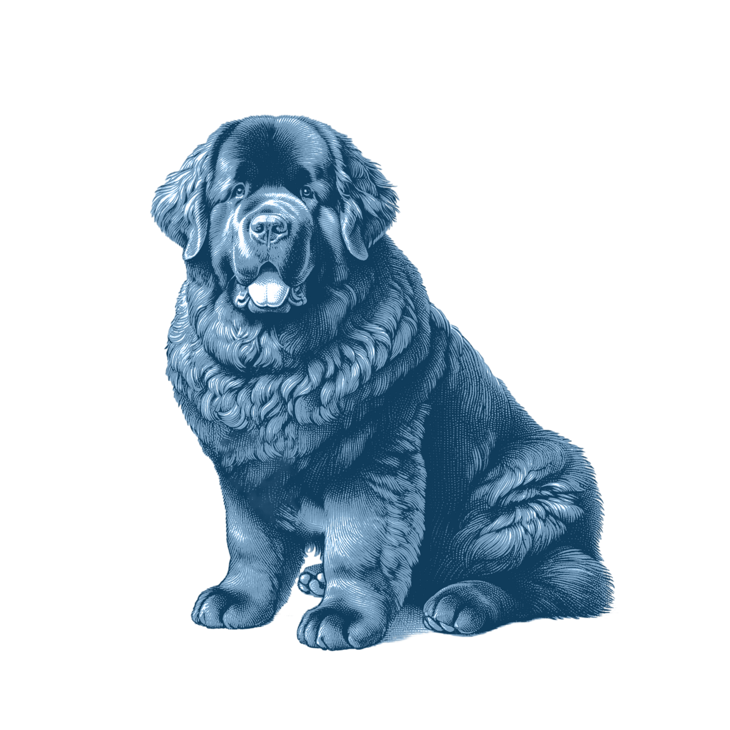 Newfoundland