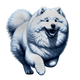 Samoyed toile