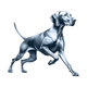 Vizsla toile