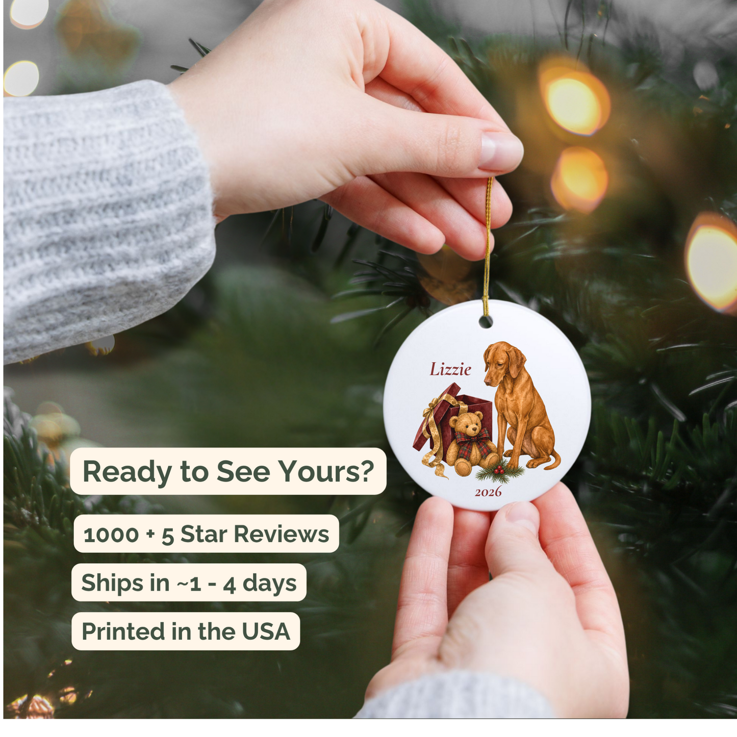 Hand holding a personalized Vizsla ceramic ornament beside a Christmas tree