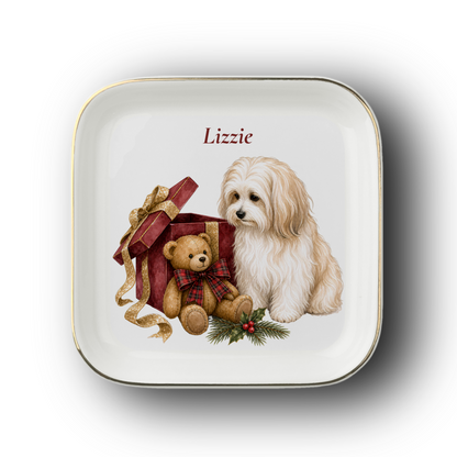 Havanese jewelry dish on a white background