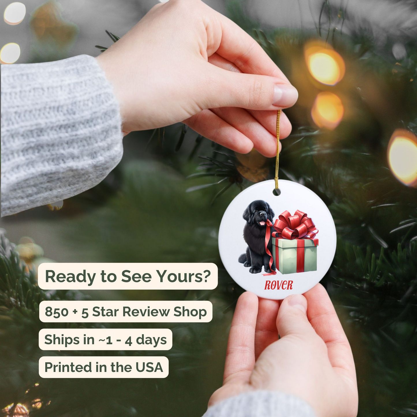 Newfoundland Ornament with Custom Name