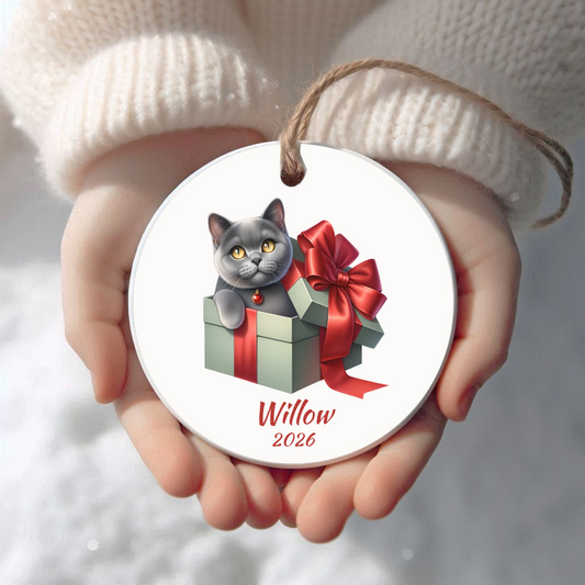 Personalized Grey Cat Christmas ornament held in cupped hands