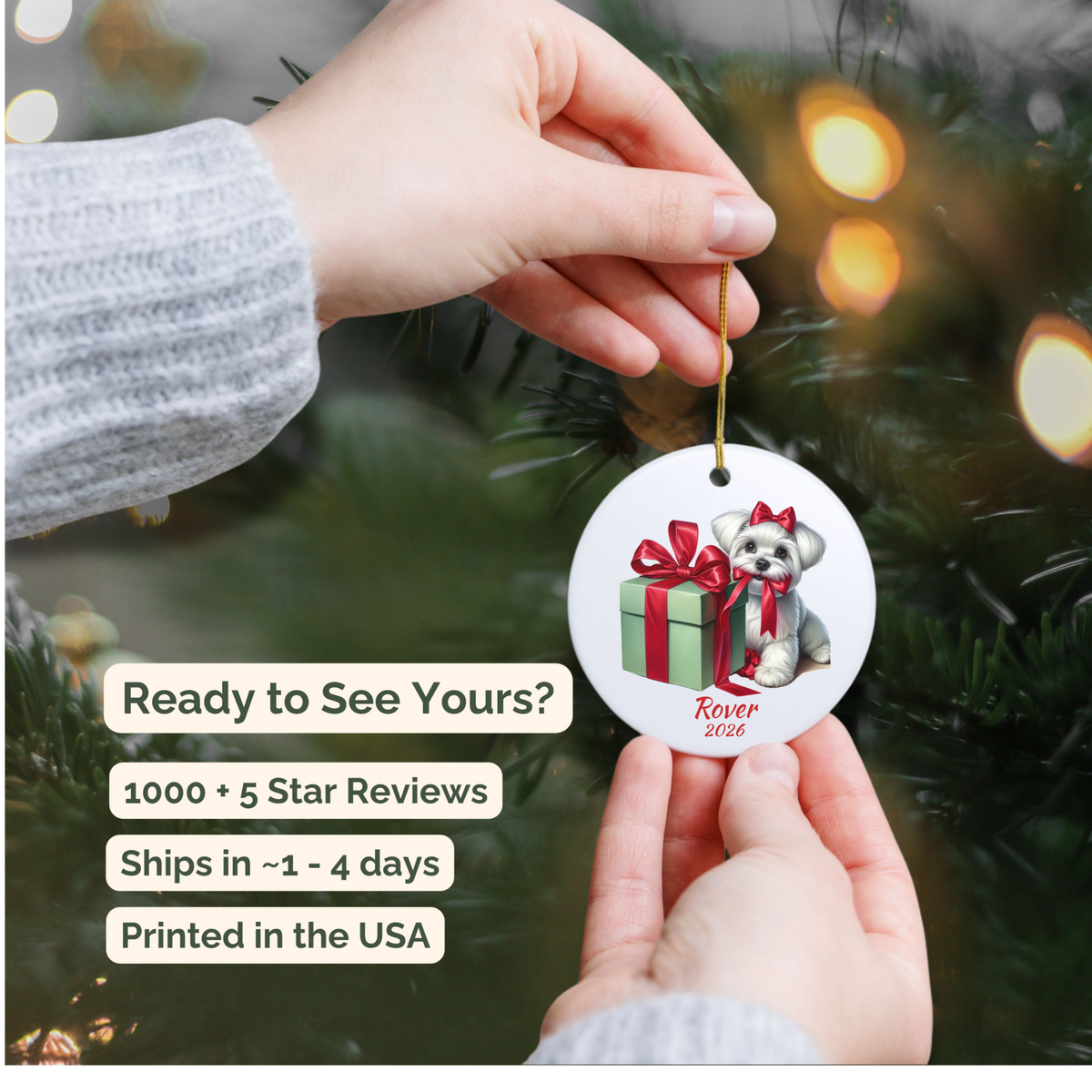 Hand holding a personalized Maltese ceramic ornament beside a Christmas tree