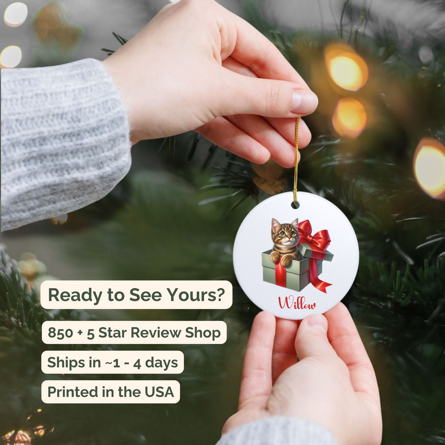 Tabby Cat Ornament with Custom Name