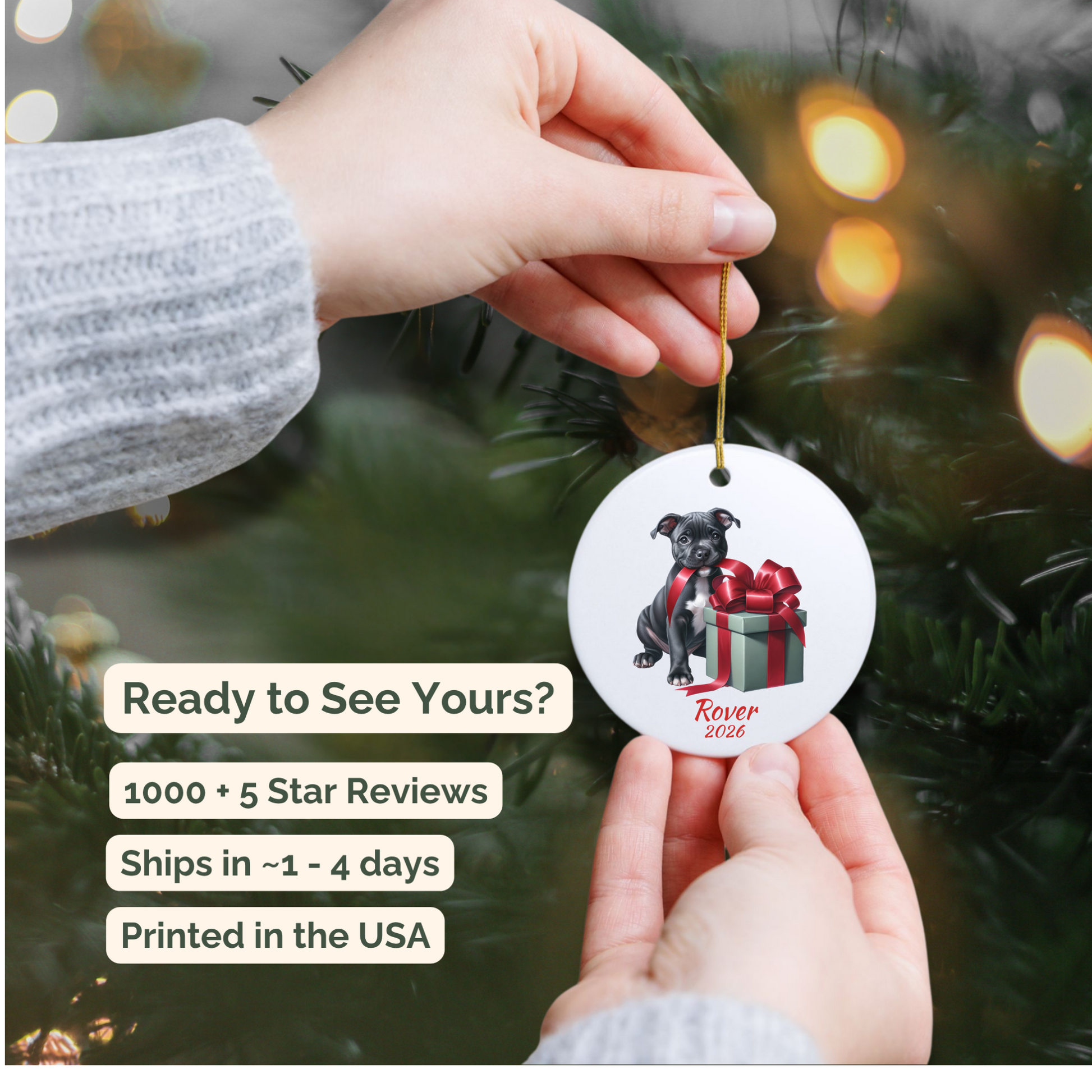 Hand holding a personalized American Staffordshire Terrier ceramic ornament beside a Christmas tree