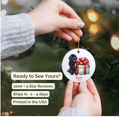 Hand holding a personalized Newfoundland ceramic ornament beside a Christmas tree