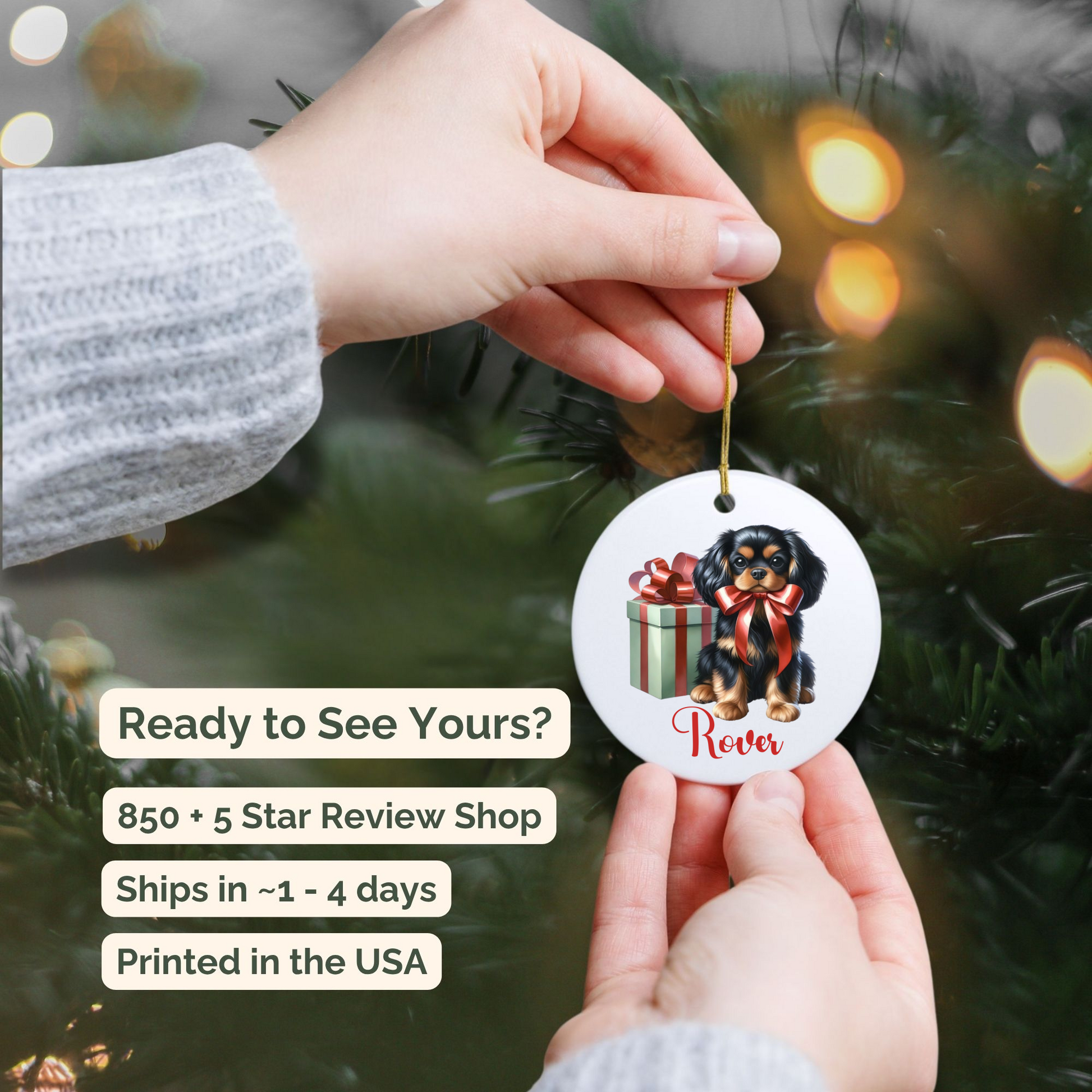 Hand holding a Christmas ornament with a Cavalier King Charles Spaniel dog design against a festive background. 850 + 5 Star Review Shop. Ships in ~ 1 to 4 days. Printed in the USA.