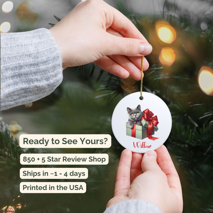 Grey Cat Ornament with Custom Name