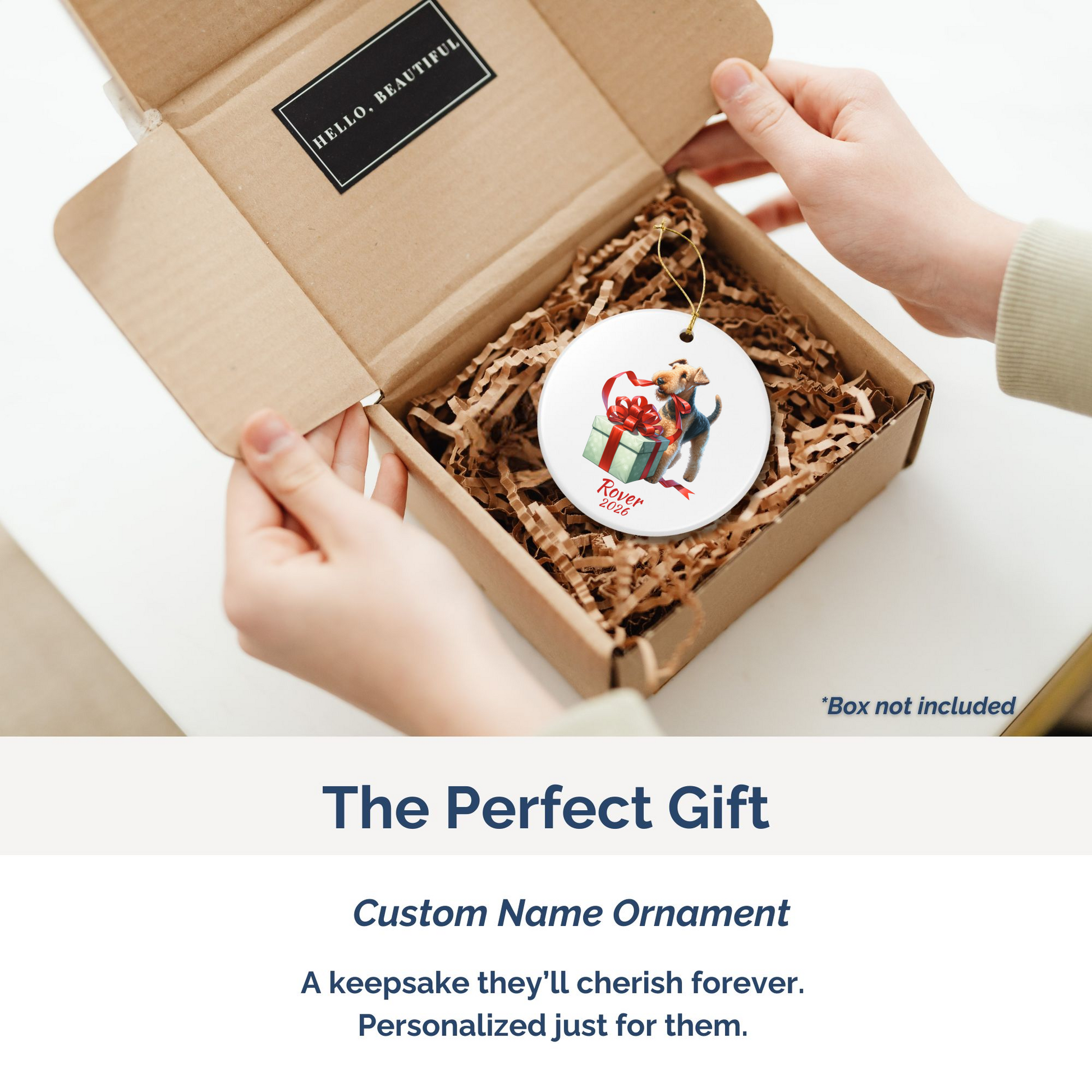 Airedale Terrier personalized ornament packed in a gift mailer box